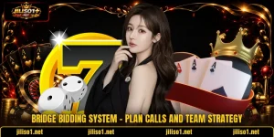 Bridge Bidding System - Plan Calls And Team Strategy