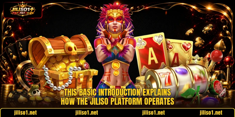 This basic introduction explains how the JILISO platform operates